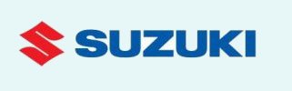 Suzuki Pillion Grab Handle